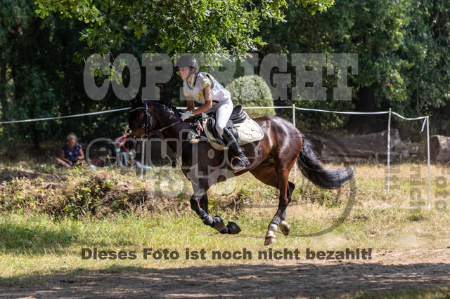 Late-Entry Vielseitigkeit Hamminkeln/Wesel (01.+02.08.2020)