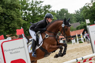Goldene Schärpe 2021 - Ponys