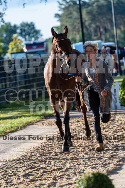 Deutsche Meisterschaft Vielseitigkeit (Luhmühlen)
