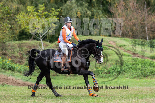 Vielseitigkeit RSV Wesel Obrighoven (26.+27.09.2020)