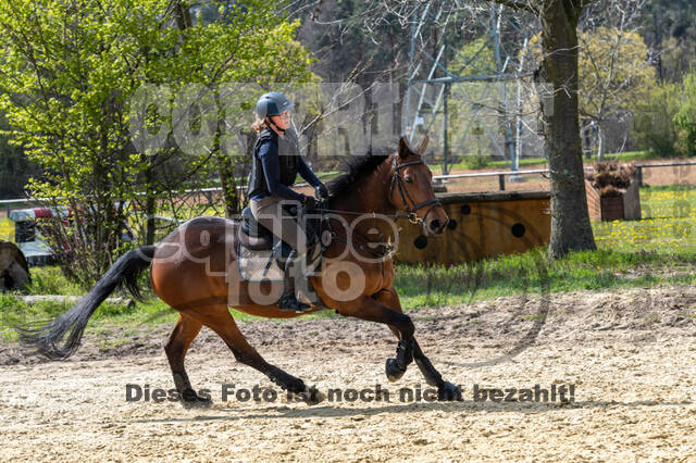 Geländetraining ZRFV Hamminkeln (24+25.04.2021)
