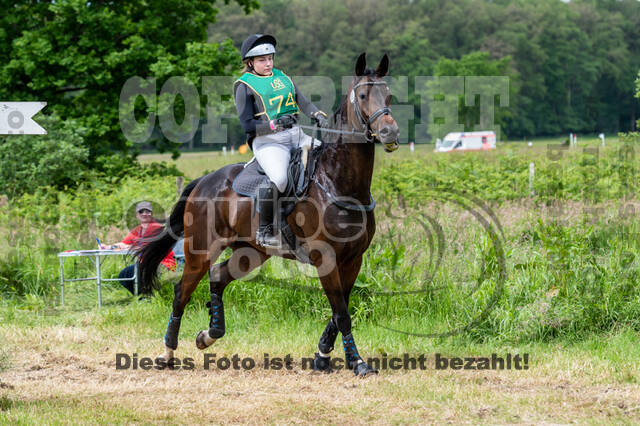 Westerstede Horse Trials (10.-13.06.2021)