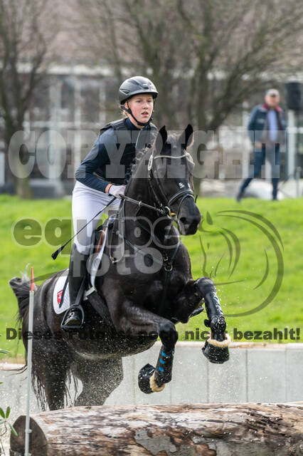 Goldene Schärpe 2020 - Pferde