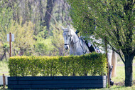 Vielseitigkeitsturnier RV Lippe-Bruch-Gahlen