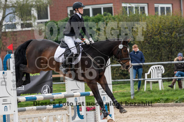 Goldene Schärpe 2020 - Pferde