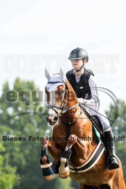 Goldene Schärpe 2021 - Ponys