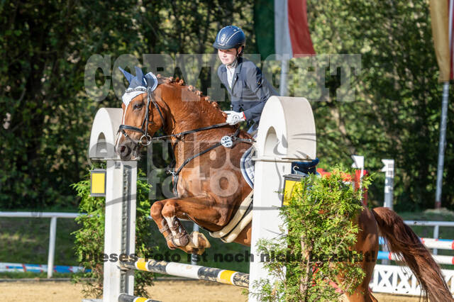RFV Dinslaken-Hiesfeld (Herbstturnier)