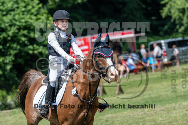 Goldene Schärpe 2021 - Ponys