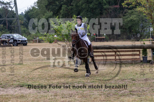 Late-Entry Vielseitigkeit Hamminkeln/Wesel (01.+02.08.2020)