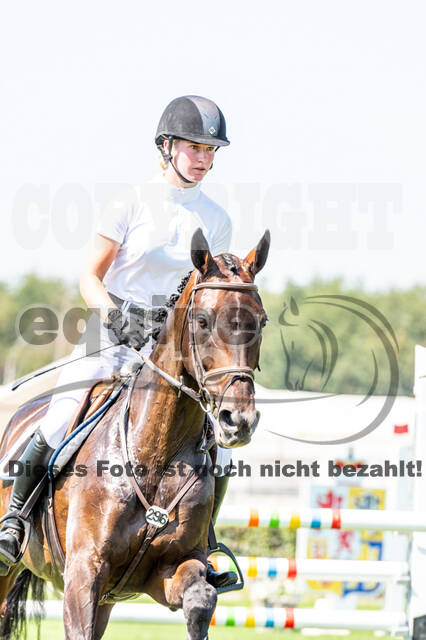 Kronenberg - De Peelbergen (August 2020)