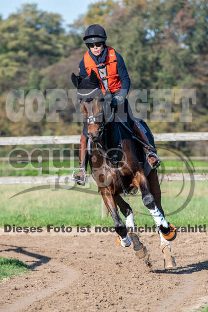 Vielseitigkeitslehrgang mit Jürg Kurbel (9.+10.11.2019)
