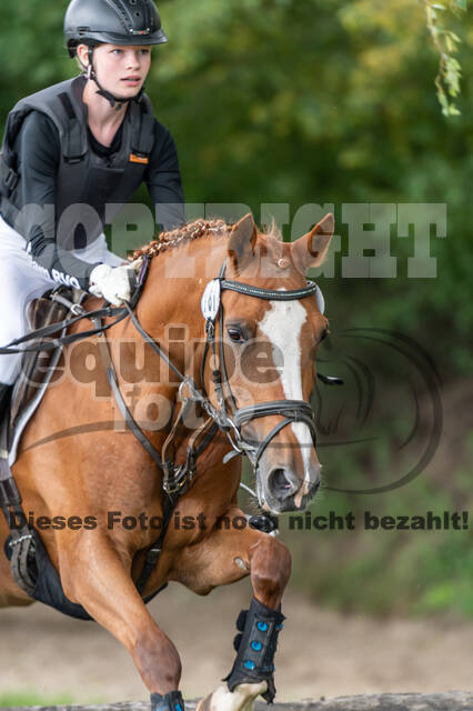Late-Entry-Vielseitigkeit Langenfeld (06.+07.07.2020)