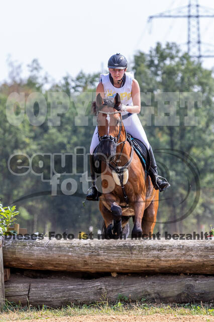 Late-Entry Vielseitigkeit Hamminkeln/Wesel (01.+02.08.2020)