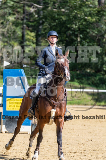RFV Dinslaken-Hiesfeld (Herbstturnier)