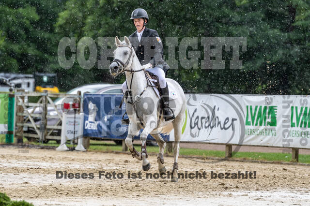 Goldene Schärpe 2021 - Ponys