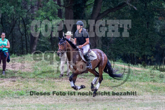Late-Entry Vielseitigkeit Hamminkeln/Wesel (01.+02.08.2020)