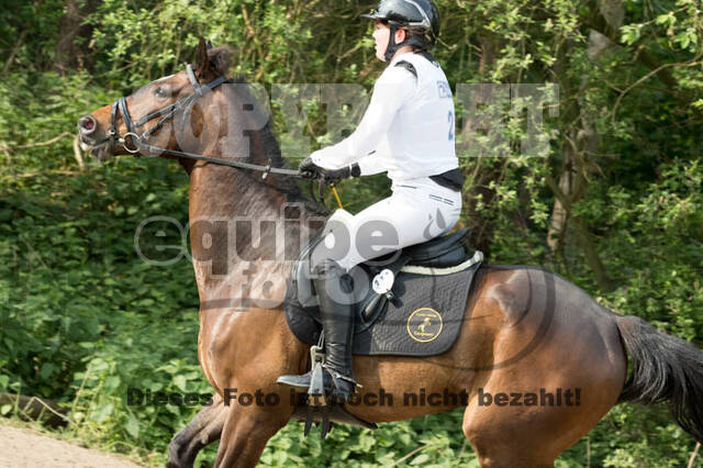 Vielseitigkeitsturnier ZRFV von Lützow Hamminkeln