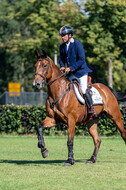 Kronenberg - De Peelbergen (August 2020)