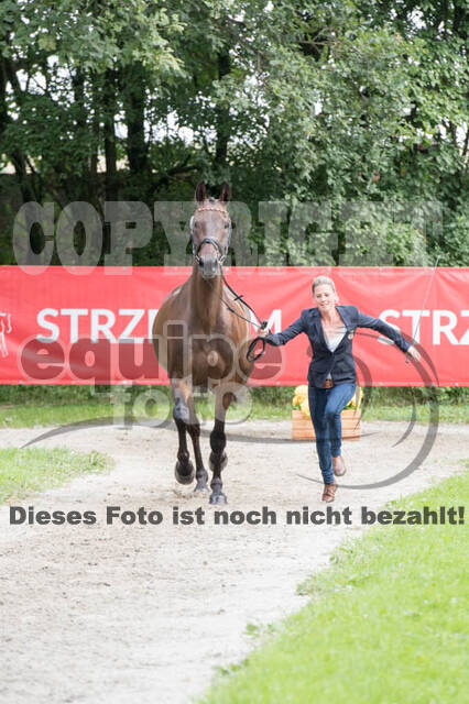 FEI European Championship Eventing 2017