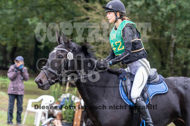 Vielseitigkeit RSV Wesel Obrighoven (26.+27.09.2020)