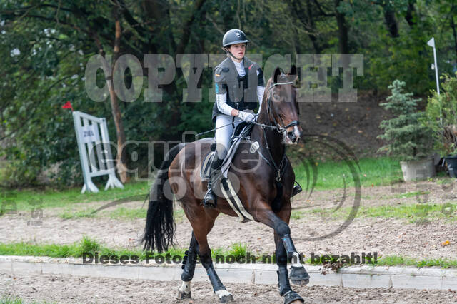 Goldene Schärpe 2020 - Pferde