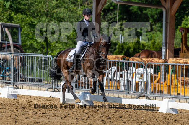 Westerstede Horse Trials 2021