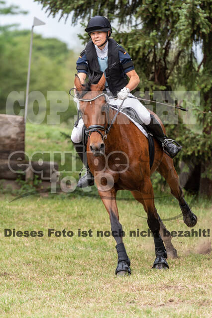 Late-Entry-Vielseitigkeit Langenfeld (11.+13./14.06.2020)