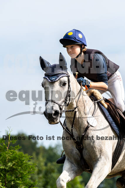 Goldene Schärpe 2021 - Ponys