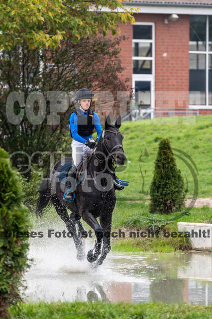 Goldene Schärpe 2020 - Pferde