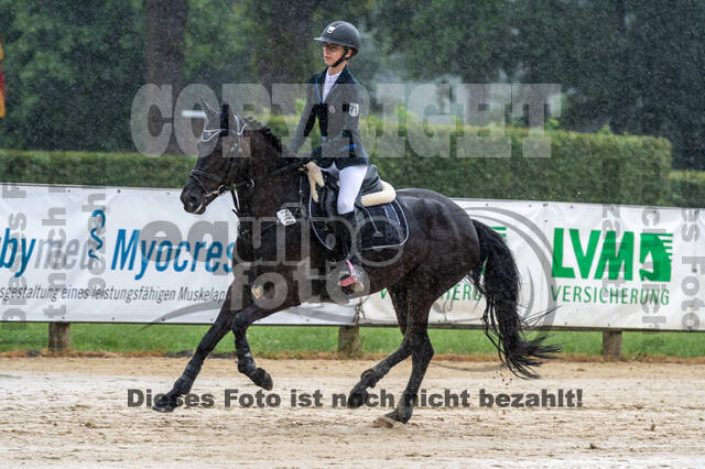 Goldene Schärpe 2021 - Ponys