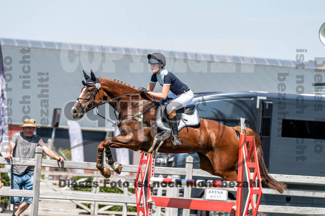 Kronenberg - De Peelbergen (August 2020)