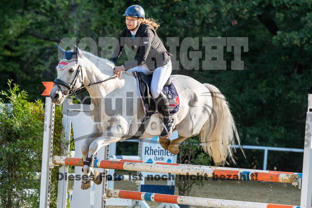 RFV Dinslaken-Hiesfeld (Herbstturnier)