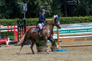 Goldene Schärpe 2021 - Ponys
