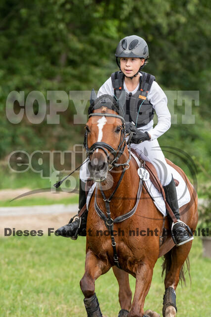 Late-Entry-Vielseitigkeit Langenfeld (06.+07.07.2020)