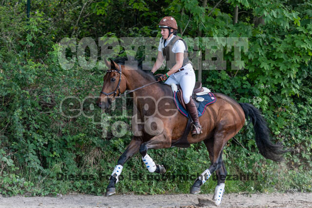 Late-Entry-Vielseitigkeit Langenfeld (11.+13./14.06.2020)