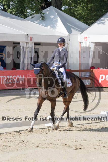 FEI European Championship Eventing 2017