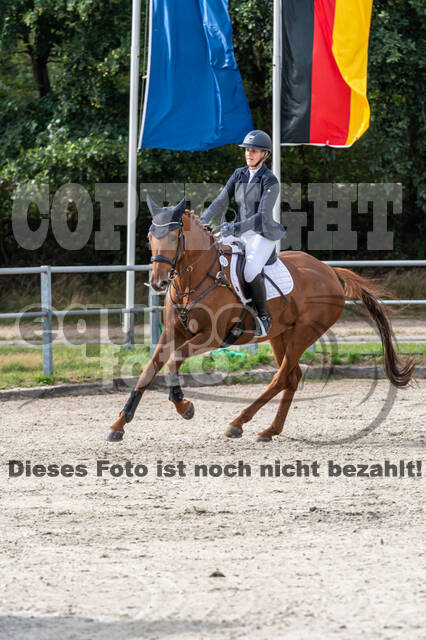Landesturnier Rheinland, Vielseitigkeit, 22.+23.08.2020