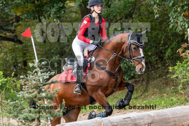 Goldene Schärpe 2020 - Pferde