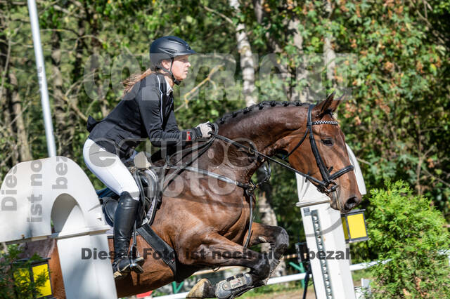 RFV Dinslaken-Hiesfeld (Herbstturnier)