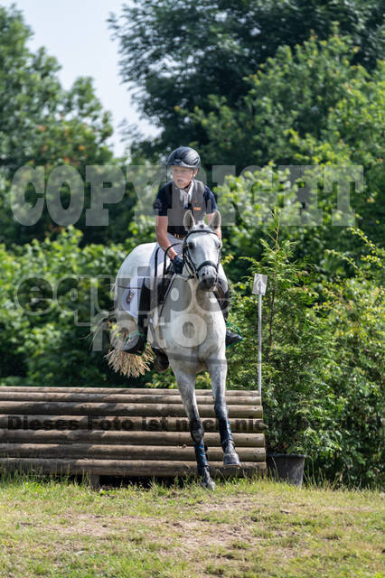 Goldene Schärpe 2021 - Ponys