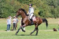 FEI European Championship Eventing 2019
