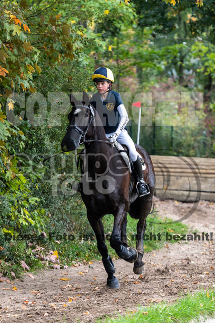 Goldene Schärpe 2020 - Pferde