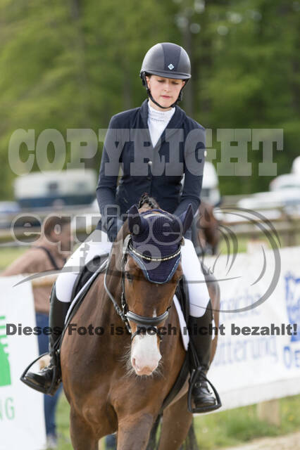 Sterne über Münster 2019 - CCI***S