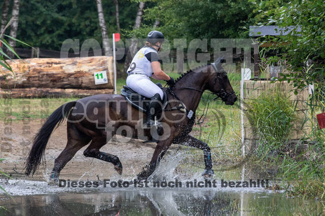 Late-Entry Vielseitigkeit Hamminkeln/Wesel (01.+02.08.2020)