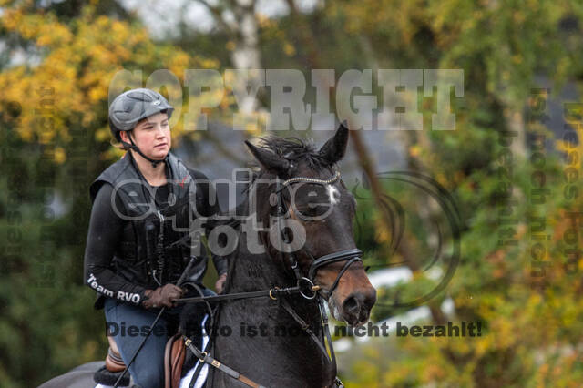 Training Bettina Hoy (01.11.2020)