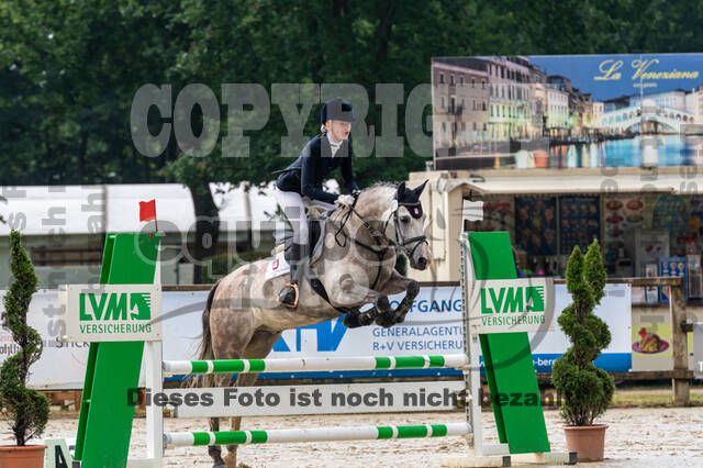 Goldene Schärpe 2021 - Ponys