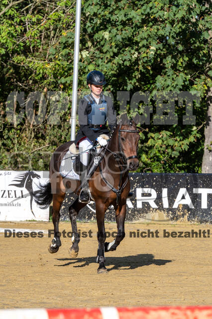 RFV Dinslaken-Hiesfeld (Herbstturnier)
