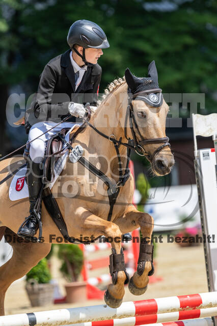 Goldene Schärpe 2021 - Ponys