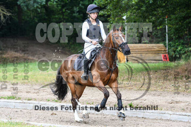 Late-Entry-Vielseitigkeit Langenfeld (11.+13./14.06.2020)