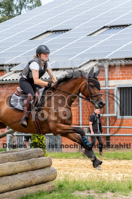 Hunter Geländetraining 10.07.2021 (Sonsbeck)